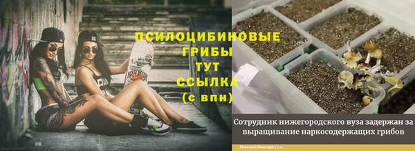 каннабис Абаза