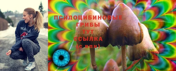 прущая мука Абинск