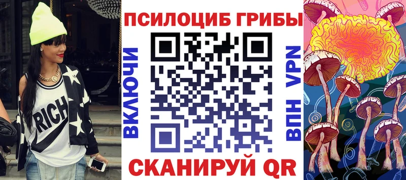 Псилоцибиновые грибы Psilocybine cubensis Галич